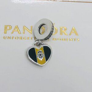 ✨🔥Pandora Pittsburgh Flag Exclusive Dangle Charm